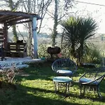 Quinta Sarnadela - Spacious 3 Bedroom House With Mountain View Holiday home Oliveira do Hospital
