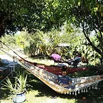 Holiday home Quinta Sarnadela - Spacious 3 Bedroom House With Mountain View