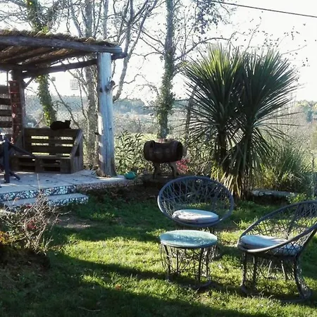 A Comfortable Rural Space In Beautiful Gardens Holiday home Oliveira do Hospital