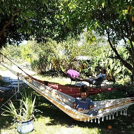 Holiday home A Comfortable Rural Space In Beautiful Gardens