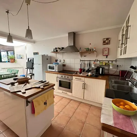 A Comfortable Rural Space In Beautiful Gardens * Oliveira do Hospital