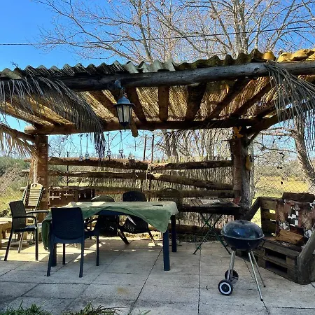 A Comfortable Rural Space In Beautiful Gardens * Oliveira do Hospital