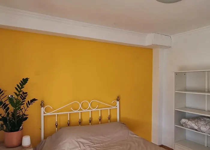 Quinta Sarnadela - Spacious 3 Bedroom House With Mountain View * オリヴェイラ・ド・オスピタル