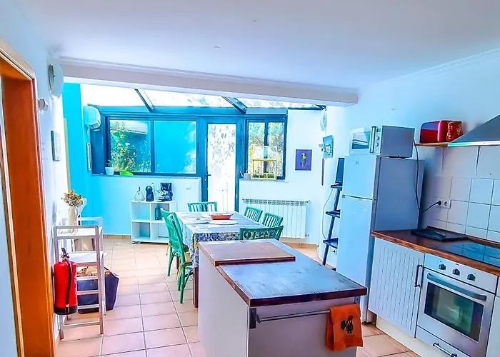 Quinta Sarnadela - Spacious 3 Bedroom House With Mountain View